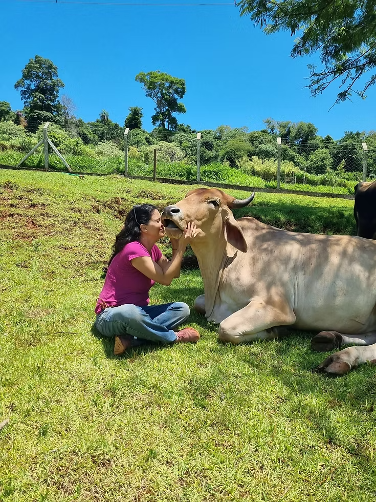 SANTUÁRIO DE ANIMAIS DO BRUM