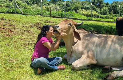SANTUÁRIO DE ANIMAIS DO BRUM