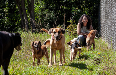 SANTUÁRIO BRUM - FOTOS (1)