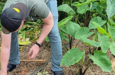 VOLUNTARIADO SANTUARIO BRUM (3)